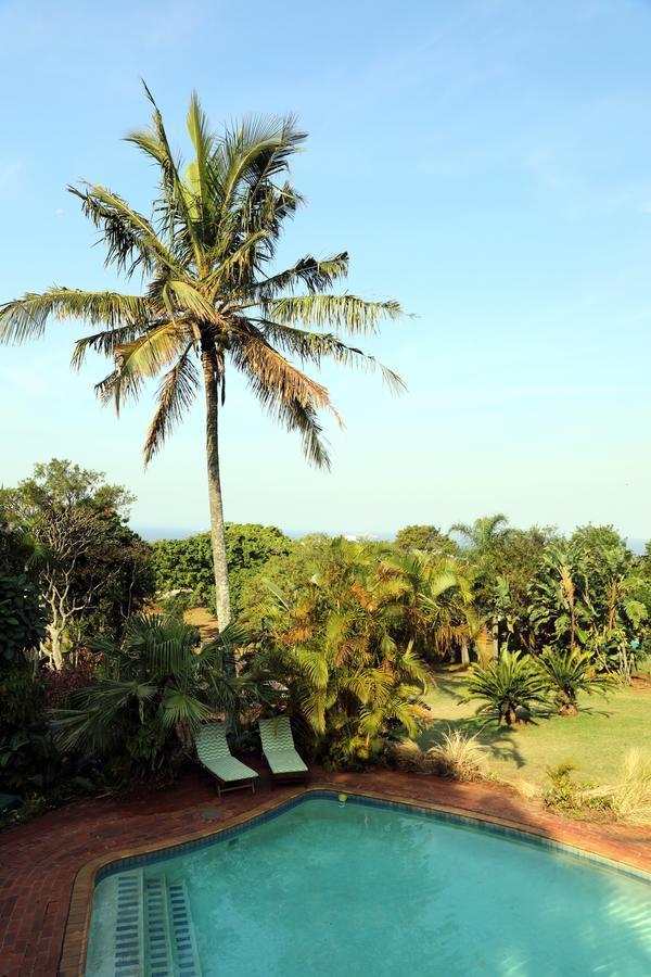 Kingston Place Guesthouse Durban Ngoại thất bức ảnh